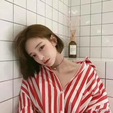 尚迪戈尔的陌生人